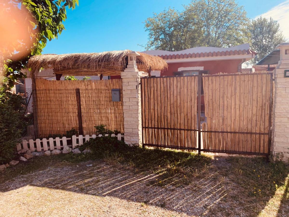Casa Fe Lejlighed Fregenae Eksteriør billede