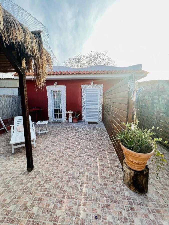 Casa Fe Lejlighed Fregenae Eksteriør billede